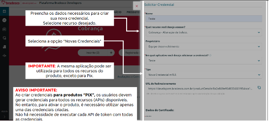 Preenchimento do registro da Credencial